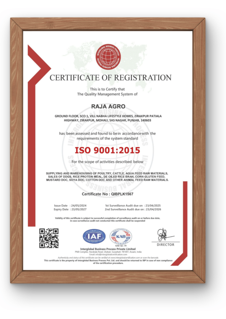 Global Grain Feed_ISO 9001 2015 Certificate