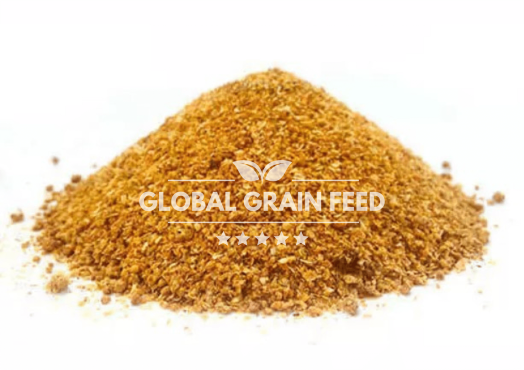 Corn DDGS_Global_Grain_Feed