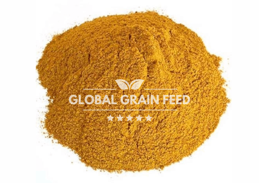 corn gluten meal_global gain feed