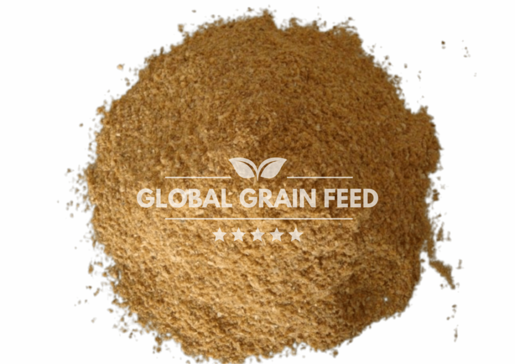 corn_gluten_feed_Global_Grain_Feed